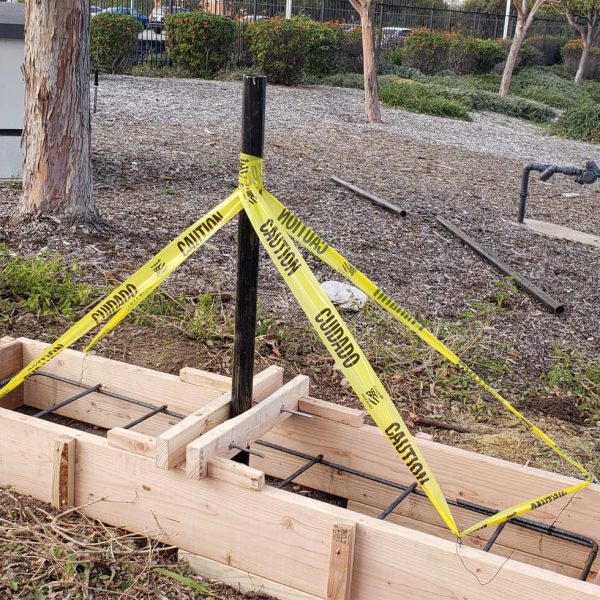 PHOTO-2025-03-10-10-00-31